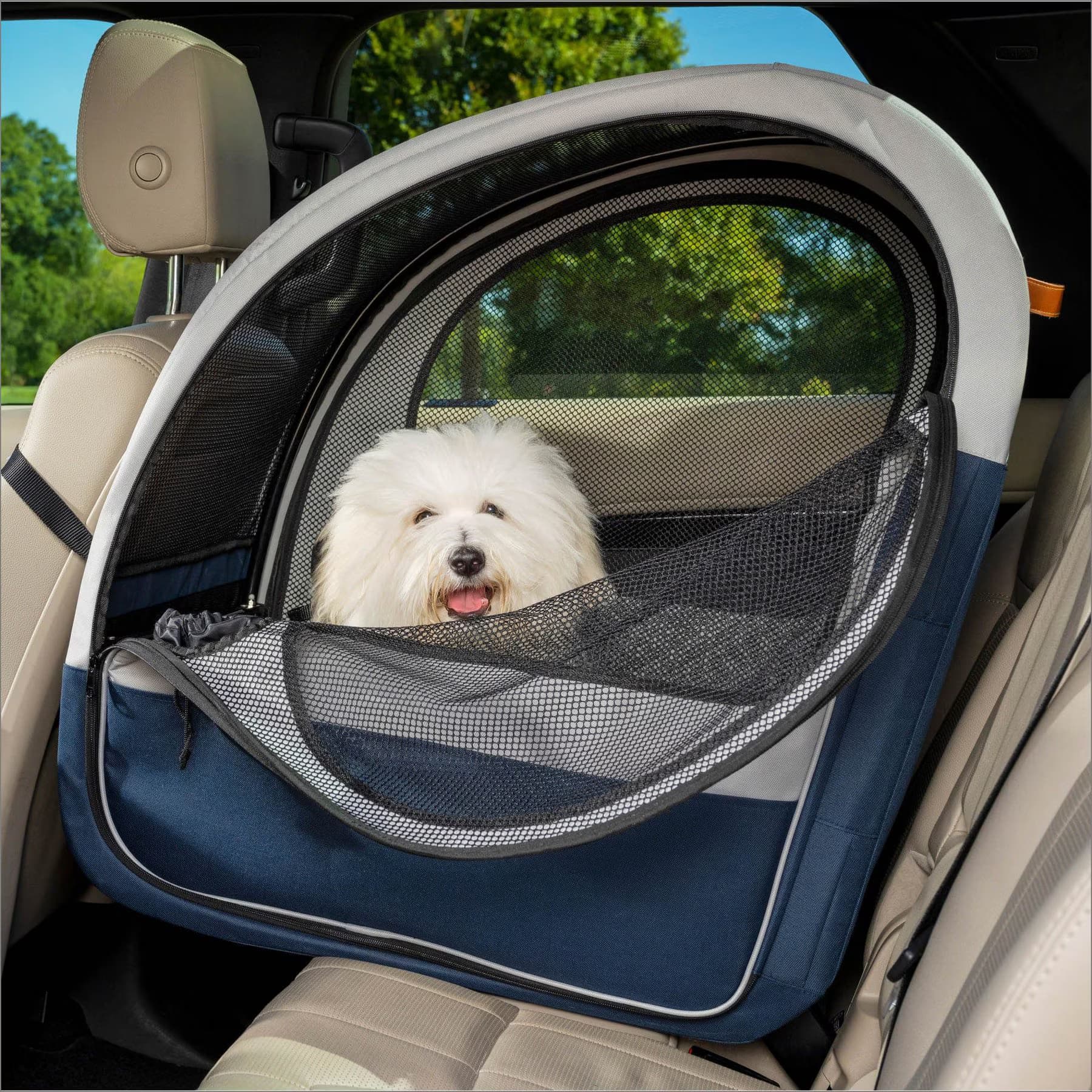 Pet in transport carrier