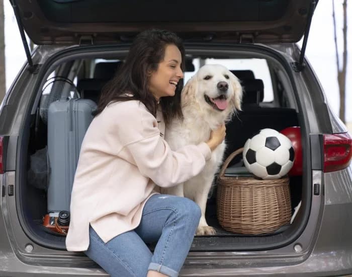 Happy pet being transported
